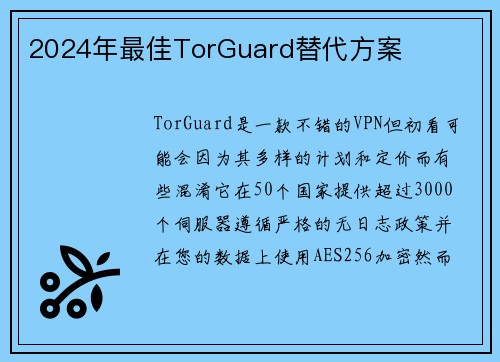 2024年最佳TorGuard替代方案